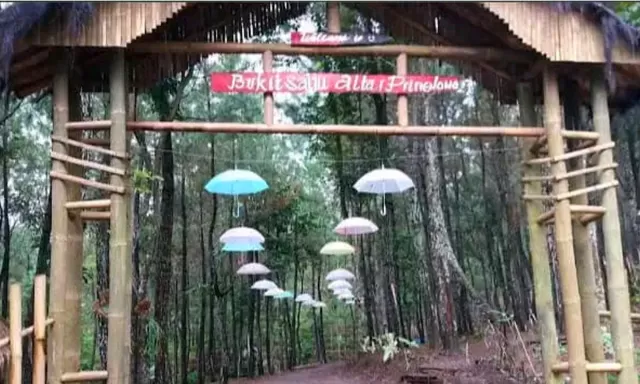 Bukit Salju Ngetos Nganjuk: Wisata Hutan Pinus dengan Spot Foto dan Jejak Sejarah Kolonial   
