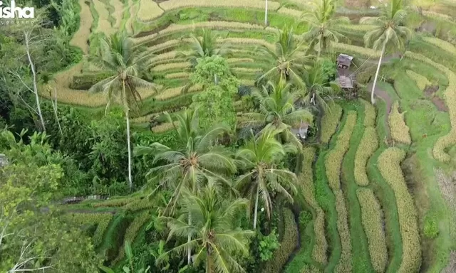 Selain Pantai, 10 Rekomendasi Tempat Instagramable di Bali untuk Liburan Akhir Pekan yang Bisa Dicoba