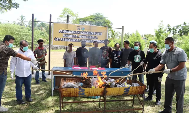 Polres Keerom Musnahkan 16 Kg Ganja