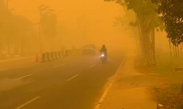 Terjebak Asap Karhutla di Jalan Raya? Ini Langkah Aman untuk Pengendara