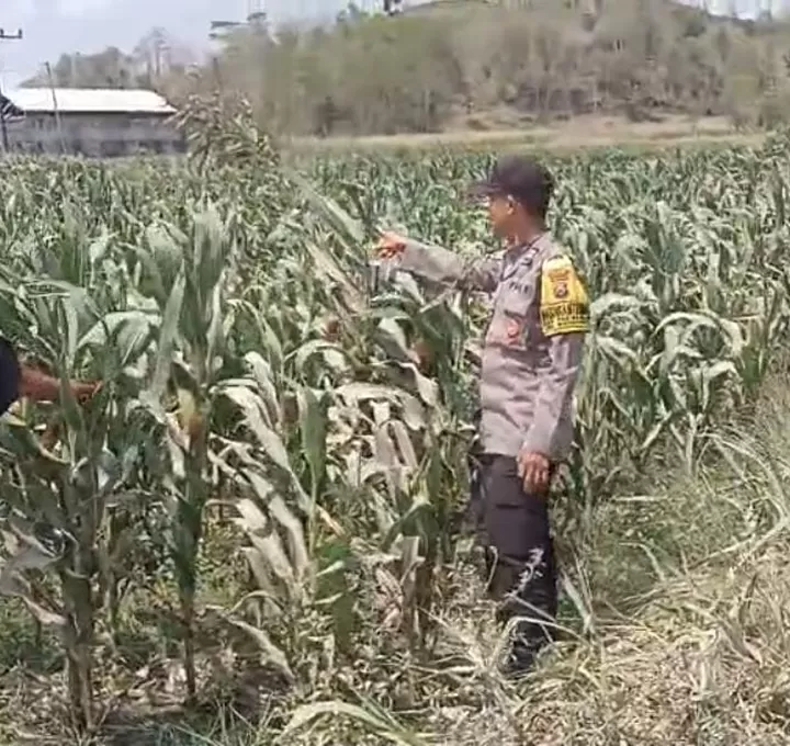 Polres Blitar Dorong Kesejahteraan Petani melalui Program Ketahanan Pangan