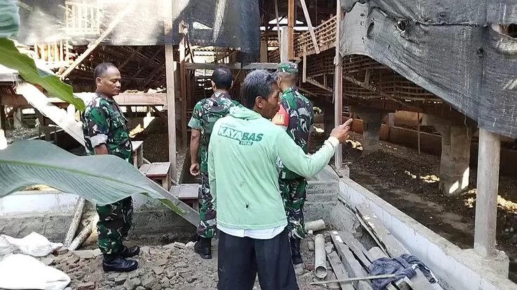Babinsa Turun ke Kandang, Suntik Semangat Peternak Ayam Petelur Hadapi Tantangan Usaha