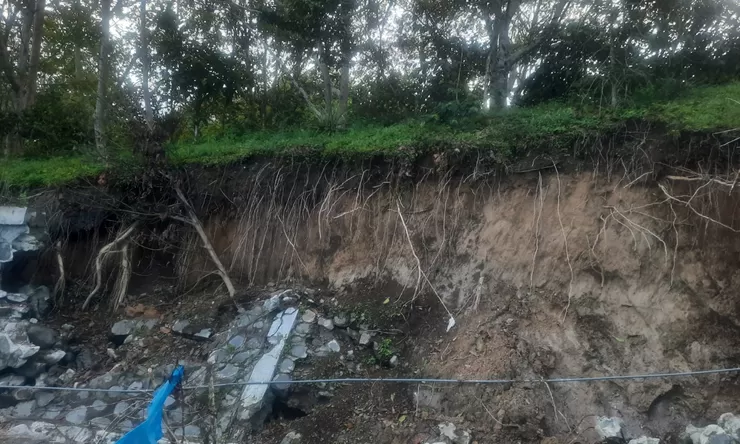 Bencana, 12.638 hektare kebun kopi di  Aceh Tengah rusak
