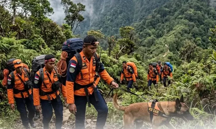 Pencarian H-2 pendaki hilang di Gunung Seulawah, Tim SAR libatkan K-9 