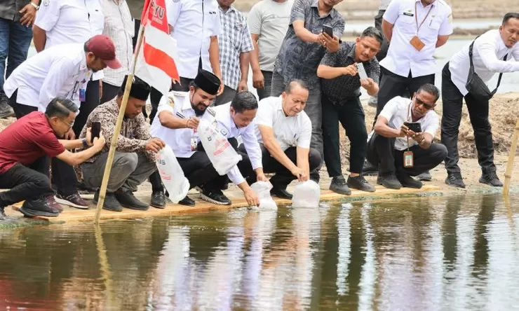 KKP salurkan 4,2 juta benur udang  ke Aceh Timur, program ini