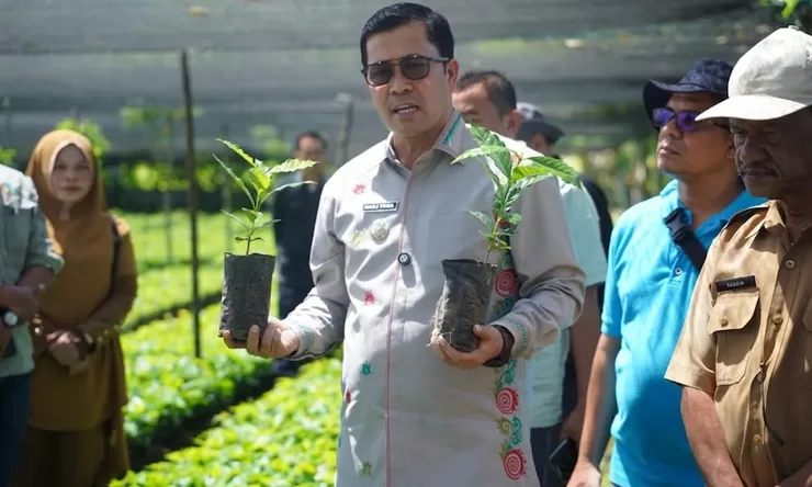 Pemerintah perketat pengawasan bantuan sektor pertanian di Gayo Lues