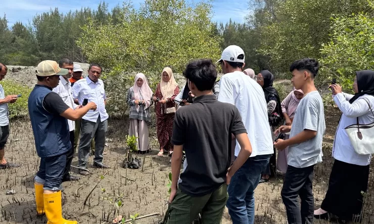 Kawasan pembibitan manggrove dikembangkan, tapi ada alih fungsi lahan