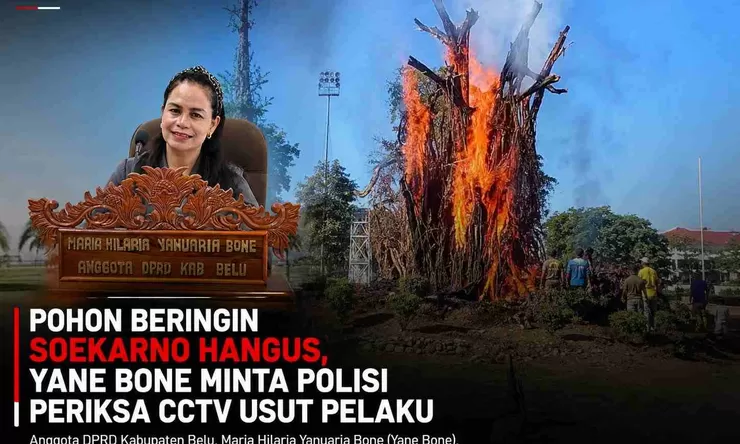 Pohon Beringin Soekarno Terbakar: Murni Bencana atau Disengaja? Yane Bone Minta Polisi Periksa CCTV Usut Pelaku