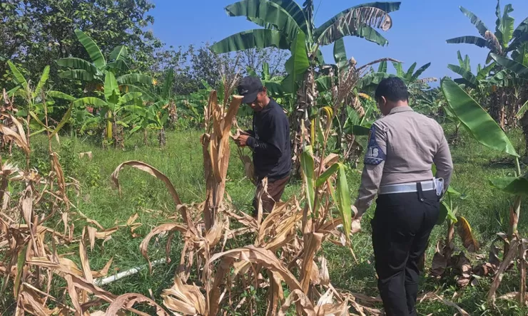 Dari Jalan Raya ke Lahan Pertanian, Sat Lantas Polres Bogor Berkontribusi untuk Swasembada Pangan