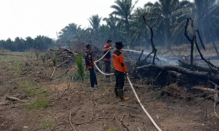 Antisipasi Karhutla, Forkopimda Riau Keluarkan Maklumat Berisi 6 Poin Penting