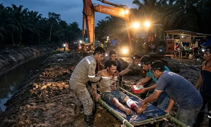 Diterkam Harimau Saat Hendak BAB, Suara Mesin dan Sorotan Lampu Berhasil Selamatkan Nyawa Harianto