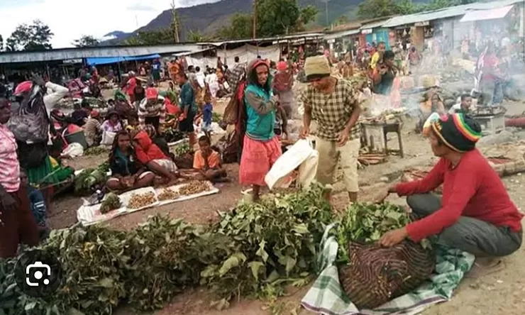 Papua Pegunungan Membangun Koperasi Untuk Menampung Hasil Bumi Masyarakat