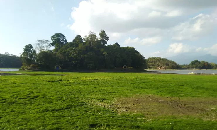 Debit Air Situ Gede Surut Drastis, 250 Hektare Lahan Pertanian di Kota Tasik Terancam Kekeringan