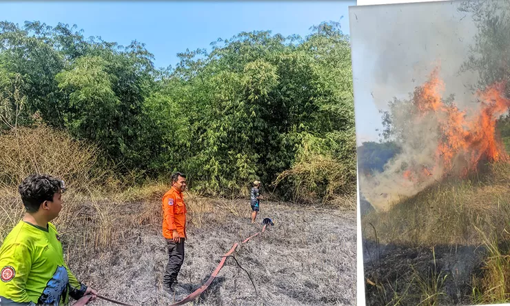 Diduga Berawal dari Puntung Rokok, Kebakaran Lahan Satu Hektare di Sukaresik Berhasil Dicegah Meluas