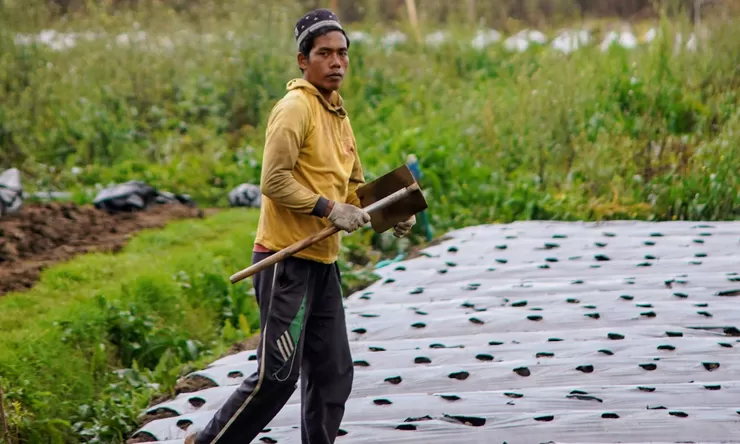 Saat Gambut Mengering, Ketahanan Pangan Nasional Diuji dari Kalimantan Barat