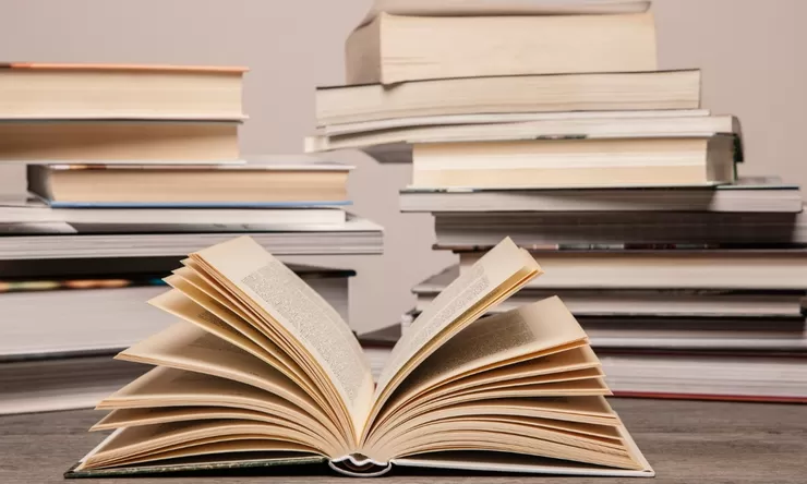 Jutaan Buku Dihancurkan setelah Digunakan Perusahaan Melatih AI, Penulis Buku Gugat Rame-rame