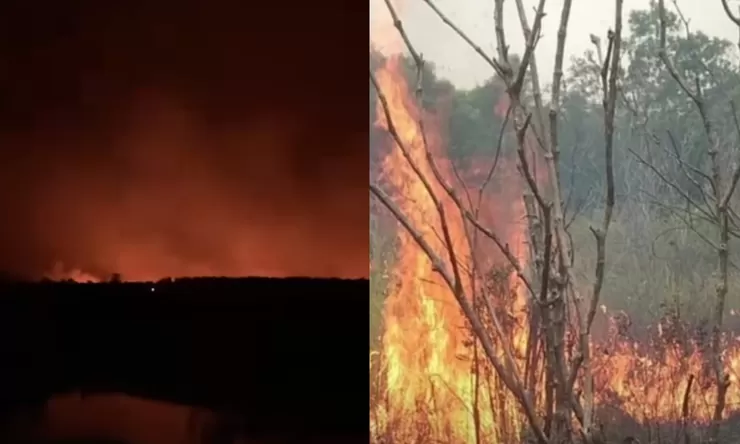Dua hari Taman Nasional Way Kambas terbakar, petugas ungkap kendala akses dan sumber air