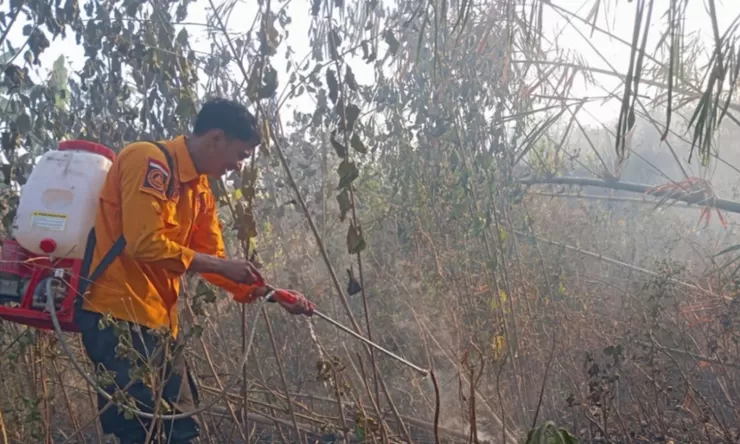 Kebakaran lahan di Dawuan Subang, ilalang seluas 2 hektare terbakar