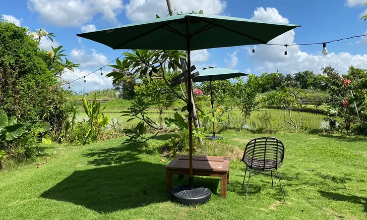 Menemukan Ketenangan Dalam Pagi Di Hamparan Sawah, Ini Cara Menikmatinya