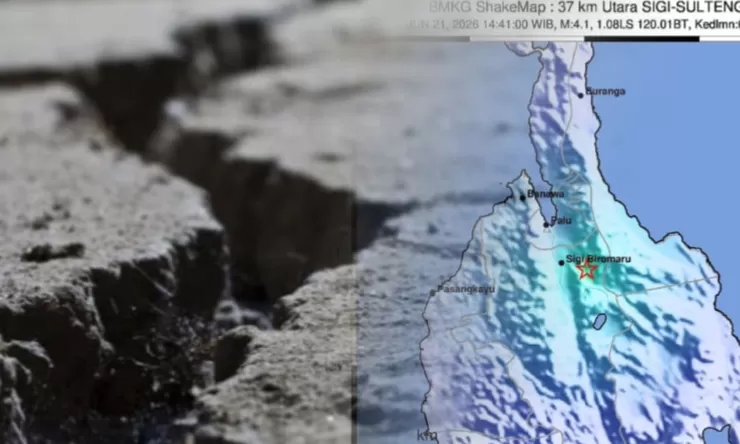 Sesar Palolo Menggeliat Hari Ini, Gempa Sigi Susulan Tembus 1163 Kali