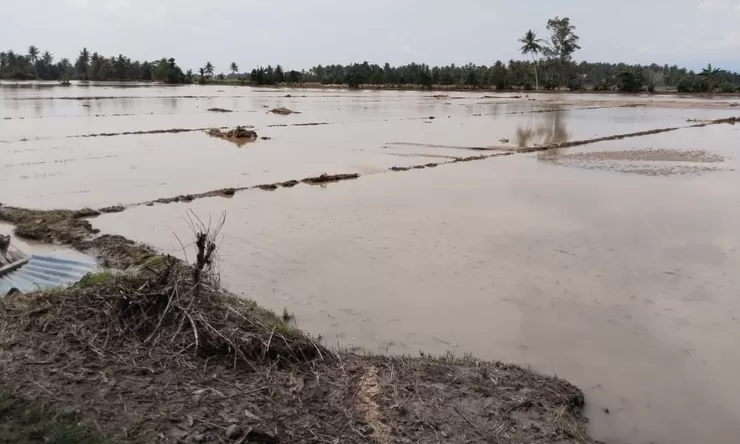 Banjir Rendam 5 Kecamatan di Parigi Moutong, Infrastruktur dan Ratusan Hektare Lahan Rusak