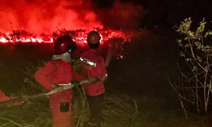 BMKG Peringatkan El Nino Ekstrem, Sultra Terancam Kebakaran Hutan