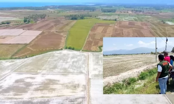 Kekeringan Parah Landa Parigi Moutong, 1400 Hektare Lahan Terancam Gagal Panen