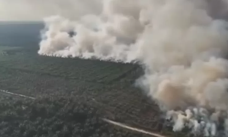 Bareskrim Usut Aliran Uang Karhutla: Korporasi dan Pemodal Bakar Lahan Diincar
