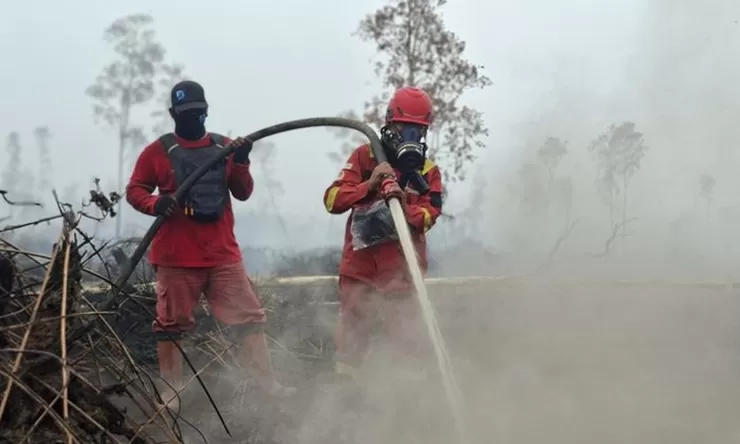 Mengapa Karhutla Sulit Padam? Pakar Ungkap Peran Cuaca, Manusia, dan Gambut