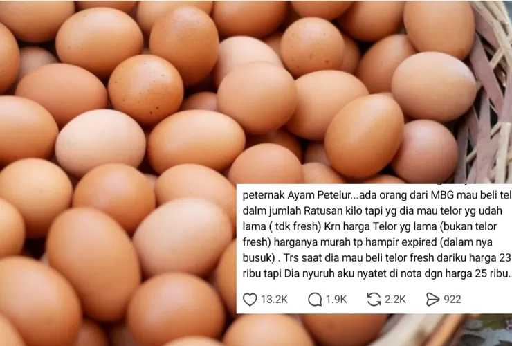 MBG Disorot, Peternak Ungkap Dugaan Permintaan Markup Harga dan Telur Tak Segar