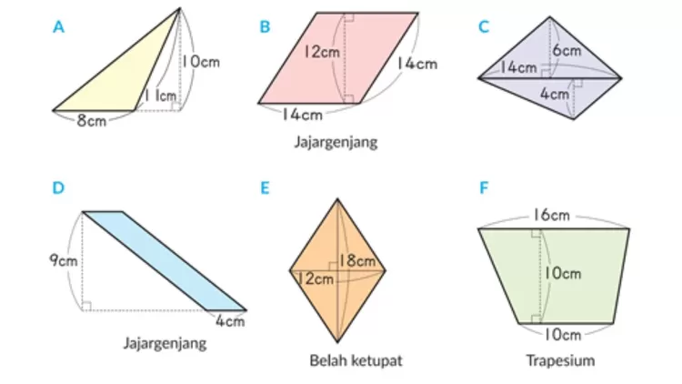 Contoh Soal Matematika Kelas 2 Sdmi Kurikulum Merdeka Pengukuran Luas Bentuk Bangun Datar 3920