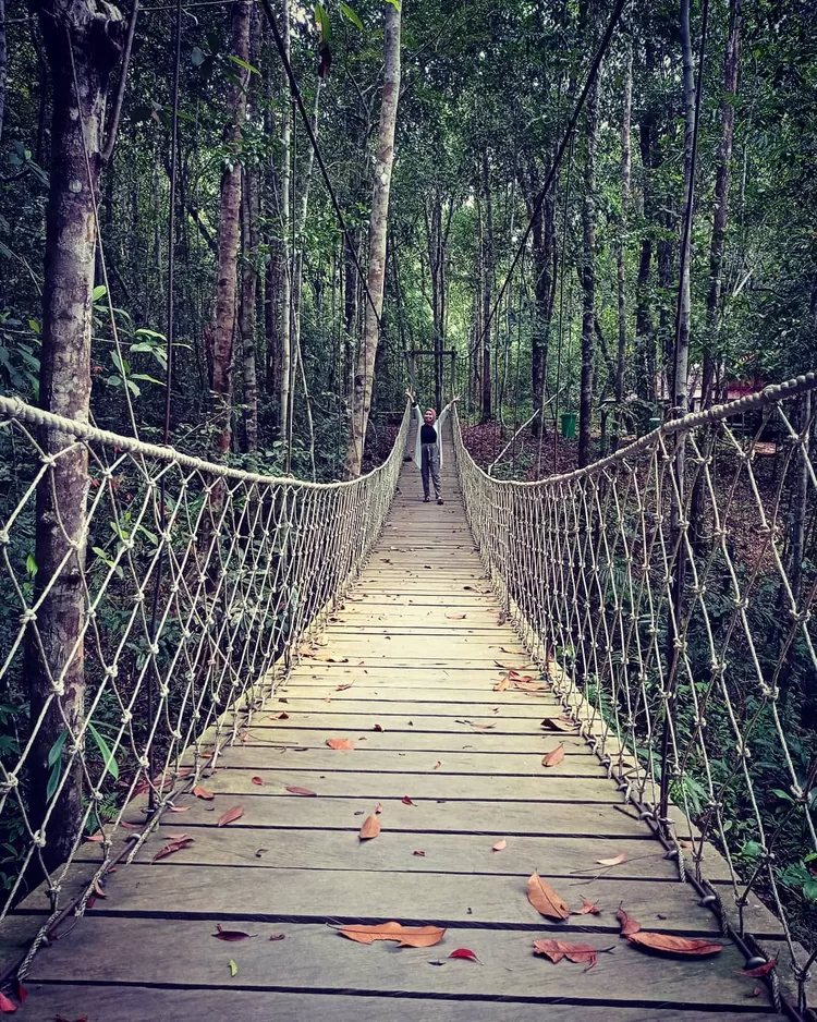Spot foto di destinasi wisata alam 'Taman Wisata Hutan Jurung Tiga' tempat healing kekinian di Kalimantan Tengah.