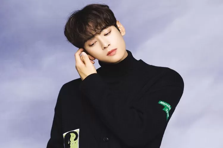 Profil Dan Biodata Cha Eun Woo Aktor Tampan Korea Selatan Yang Miliki