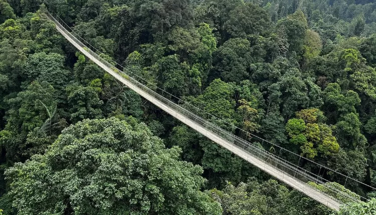 Mengenal 2 Jembatan Gantung Situ Gunung: Suspension Bridge Dan Lembah ...