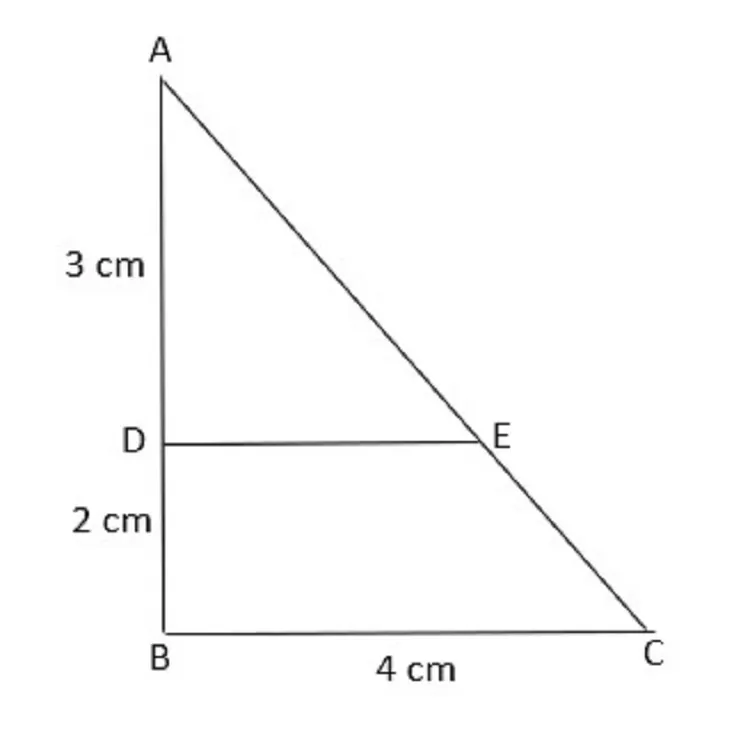 Segitiga ABC Siku-siku Di B. Jika AD = 3 Cm, DB = 2 Cm Dan BC = 4 Cm ...