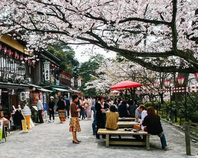 5 Rekomendasi Taman Yang Terkenal Di Jepang - Berita Tokoh