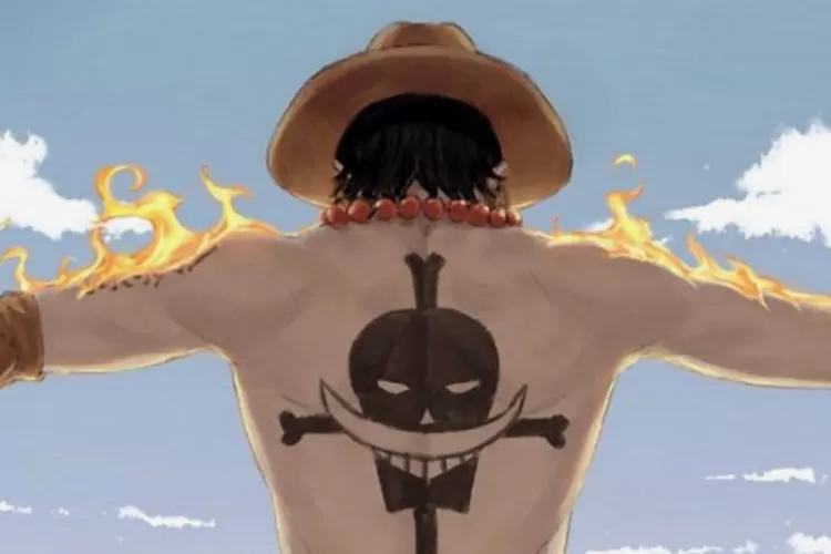 5 Fakta Mera Mera no Mi One Piece! Buah Iblis Logia Api!