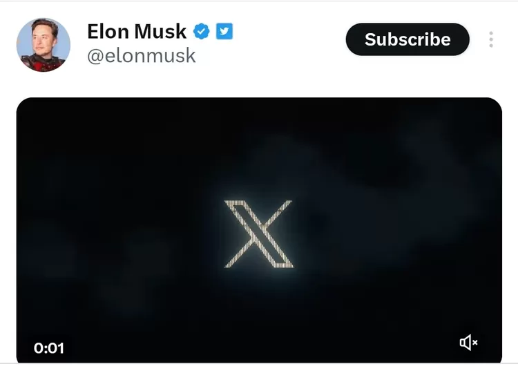 Elon Musk Berencana Ganti Logo Twitter Yang Khas Dengan Burung Biru ...