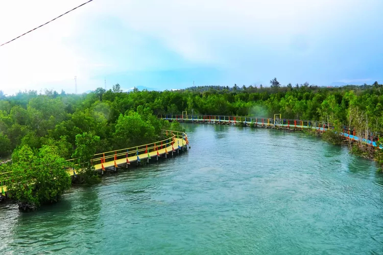 wisata manggrove pohuwato, foto : yadin/HL
