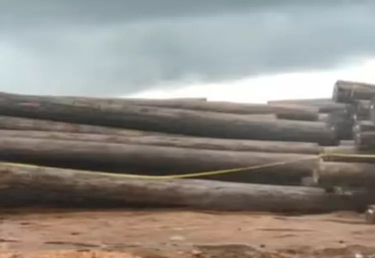 Dittipidter Bareskrim Polri ungkap dugaan kasus illegal logging oleh PT CSS di Kalimantan Tengah, cegah dampak negatif terhadap hutan , foto bareng bukti yang turut disita 