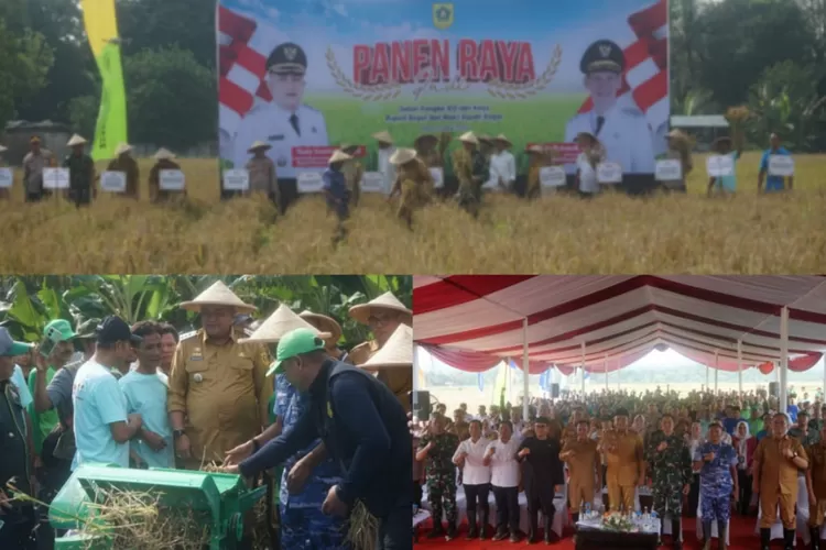 Panen Raya Padi di Kecamatan Leuwisadeng. (Realitasonline.id/Dok)