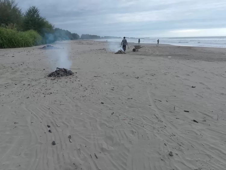 Peduli Lingkungan, Purnawirawan TNI AD Bersihkan Sampah Secara Sukarela di Bibir Pantai Suak Timah Aceh Barat