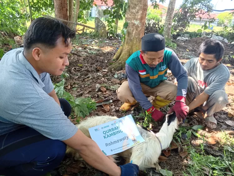 Hidupkan Semangat Berkurban, DPD Wahdah Islamiyah Luwu Utara Sembelih 23 Ekor Hewan Kurban
