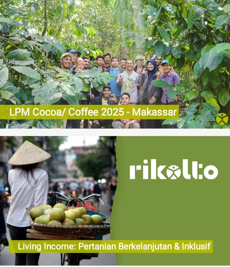 Survei Rikolto: Petani Kakao Luwu Utara Miliki Pendapatan Paling Ideal di Indonesia
