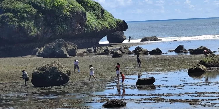 Tak perlu berburu satwa di lauit. Dibawa pulang ga bakal hidup. Foro: PK atmodjo.