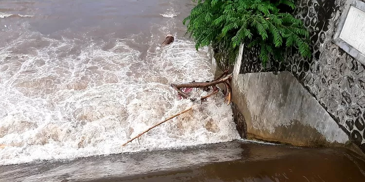 Satu pohon lagi tersangkut di sekitar embung Surokarsan. Foto: GS Purwanto.