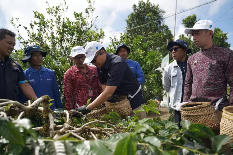 VP Pengelolaan Pelanggan PT Pusri, Arman Zainuddin, menyampaikan bahwa Program Makmur Agrosolution dirancang untuk membantu petani meningkatkan produktivitas dan kualitas hasil panen secara berkelanjutan