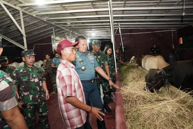 Panglima TNI Laksamana TNI Yudo Margono  melaksanakan pengecekan langsung ke lapangan untuk memastikan kelancaran pelaksanaan Gerakan Nasional Ketahanan Pangan di lingkungan TNI. Foto: Puspen TNI