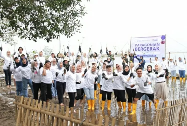 Puluhan relawan Human Initiative (HI) dan karyawan PT Paragon berkolaborasi  kebaikan menanam  mangrove di  Pantai Kiss, Tangerang, Banten. Kegiatan ini untuk menghindari  abrasi pantai dan menjaga lingkungan hidup tetap baik. Event ini digelar pekan lalu.