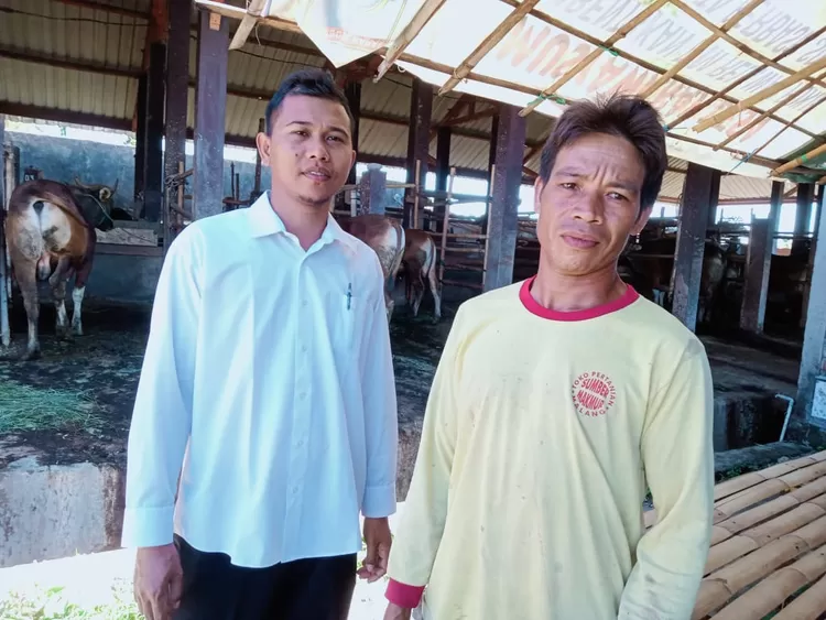 Suharman (kanan) dan Sekdes Gontoran M Azizi (kanan) di kandang kolektif Kelompok Ternak Harapan Gontoran, Lombok Barat.